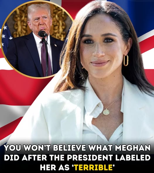 Meghan Markle has a ‘perfect’ response to President Trump who labeled her as ‘t*rrible’