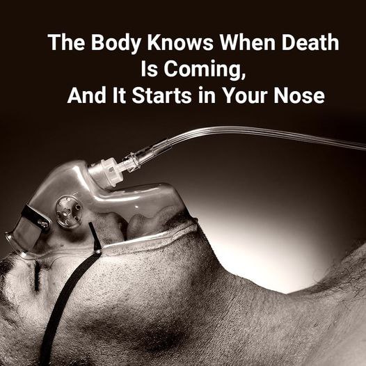 The Body Knows When…