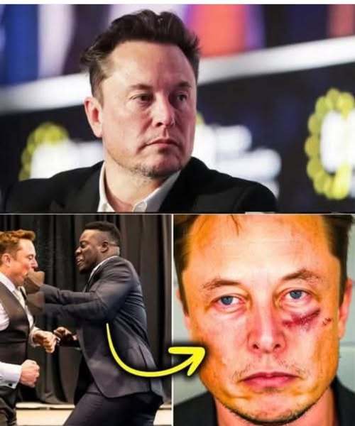 Man Ins*lts Elon Musk At Science Conference