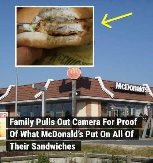 Family Pulls Out Camera For Proof Of What McDonald’s Put On All Of Their Sandwiches