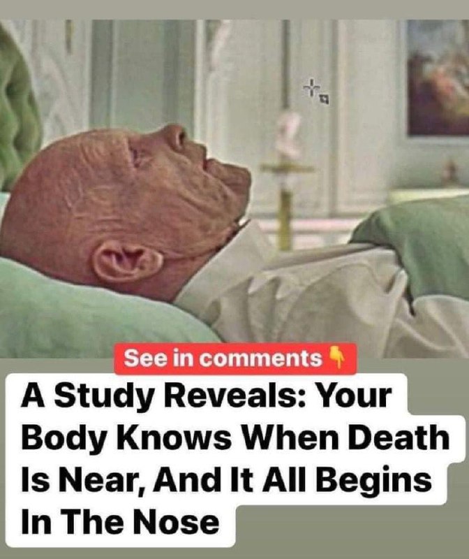 A research reveals your body knows