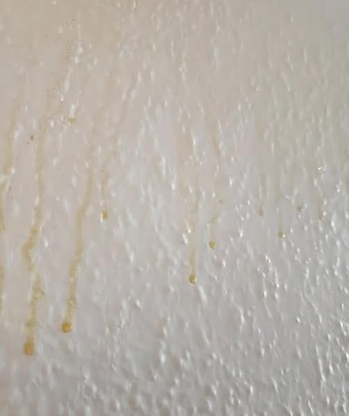 Yellow Residue Dripping Down Your Bathroom Walls and…