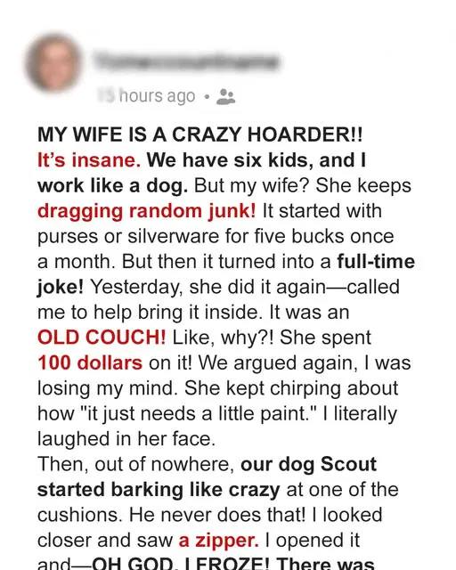 Husband Mocks Old Sofa His Wife Bought at Flea Market, Notices Its Zipper Minutes Later Husband Mocks Old Sofa His Wife Bought at Flea Market, Notices Its Zipper Minutes Later