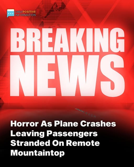 Passengers Are Left Stranded On A Remote Hilltop After A Terrifying Plane Crash In Vermont Passengers Are Left Stranded On A Remote Hilltop After A Terrifying Plane Crash In Vermont