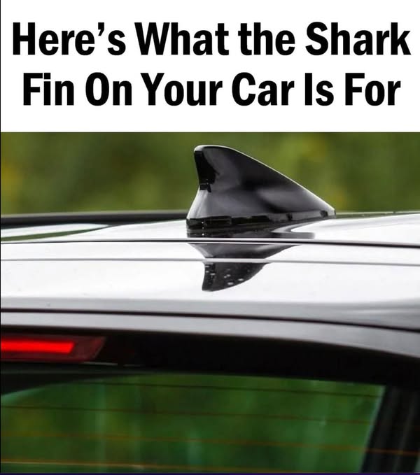 The Shark Fin On Your Car Serves An Important Purpose and…