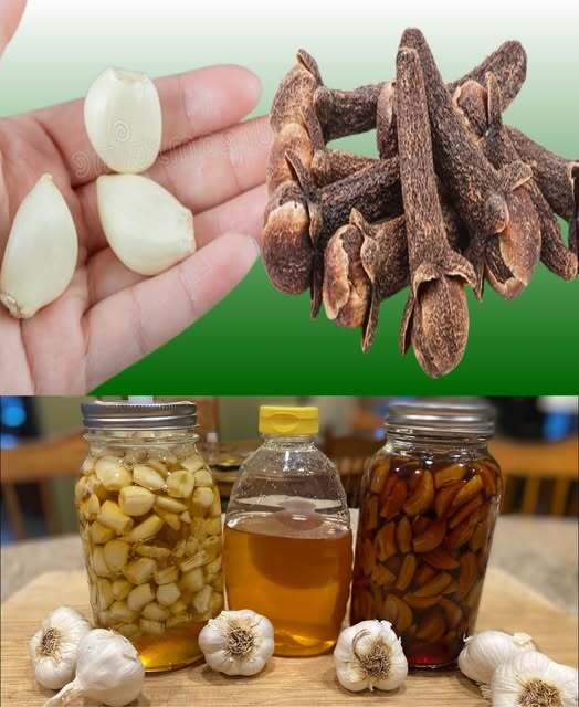 Unlocking the Power of Garlic, Cloves, and Honey Unlocking the Power of Garlic, Cloves, and Honey