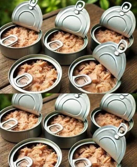 Don’t throw away tuna cans, at home they are worth their weight in gold: how to reuse them Don’t throw away tuna cans, at home they are worth their weight in gold: how to reuse them