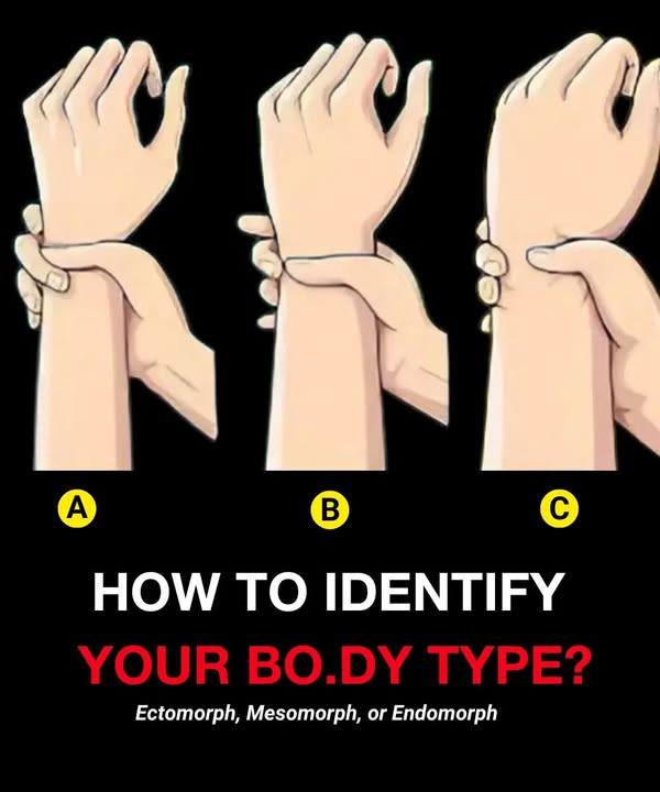 Are You Ectomorph, Mesomorph, or Endomorph? Are You Ectomorph, Mesomorph, or Endomorph?