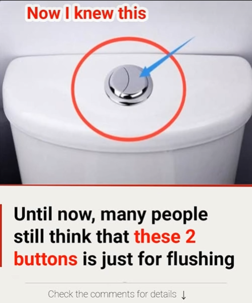 Many people still think that these 2 buttons is just for flushing Many people still think that these 2 buttons is just for flushing
