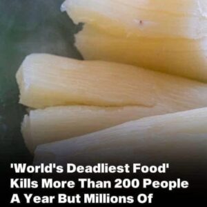 Claims over 200 lives every year, yet nearly 500 million people still eat it Claims over 200 lives every year, yet nearly 500 million people still eat it