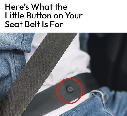 The Seat Belt Stop Button: A Small Component with a Big Role The Seat Belt Stop Button: A Small Component with a Big Role