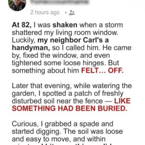 Neighbor Handyman Came to Fix My Broken Window