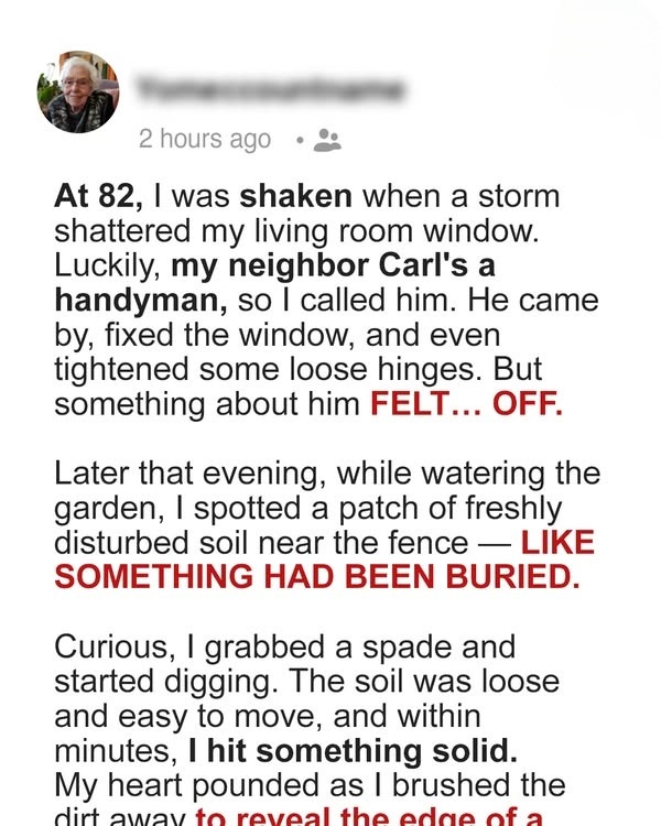 Neighbor Handyman Came to Fix My Broken Window