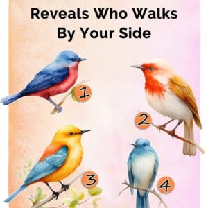 Pick Your Robin Pick Your Robin