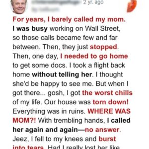 Son Who Didn’t Visit His Mother for Years Comes and Sees Her House Destroyed – Story of the Day