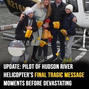 Pilot warned he “needed fuel” before Hudson River…