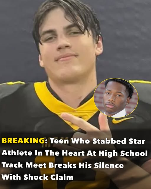Teen who allegedly stabbed Austin Metcalf claims self defense Teen who allegedly stabbed Austin Metcalf claims self defense