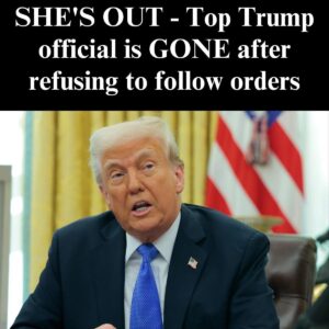 Mysterious Exit: Top Trump Official Is Gone After Withdrawing from a Shadowy Immigrant-Sharing Pact Mysterious Exit: Top Trump Official Is Gone After Withdrawing from a Shadowy Immigrant-Sharing Pact