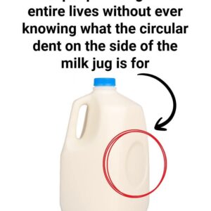 Purpose of the Circular Dent on Milk Jugs Purpose of the Circular Dent on Milk Jugs