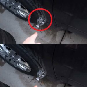 If You See A Plastic Bottle On Your Tire, This is What It Might Mean If You See A Plastic Bottle On Your Tire, This is What It Might Mean