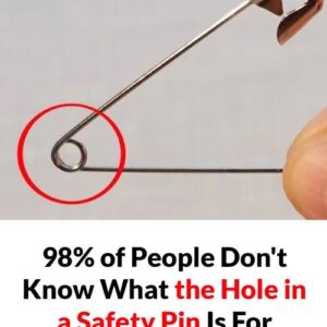 What’s the Purpose of That Tiny Hole in a Safety Pin? What’s the Purpose of That Tiny Hole in a Safety Pin?