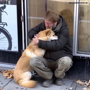 Dog Goes to Closed Store Daily then Leaves, One Evening Poor Boy Notices and Follows It