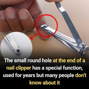 Those ‘Small Round Holes’ On Nail Clippers Actually Have an Ingenious Use, and We Had No Idea