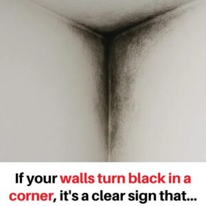 If your walls are turning black in a corner, it’s no… If your walls are turning black in a corner, it’s no…