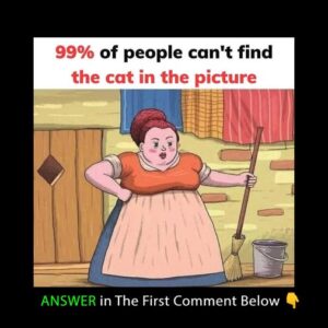 Here is the answer
