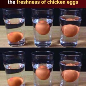 How to Tell If An Egg Has Gone Bad How to Tell If An Egg Has Gone Bad