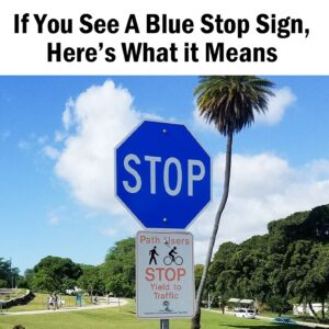 What Does a Blue Stop Sign Mean? What Does a Blue Stop Sign Mean?