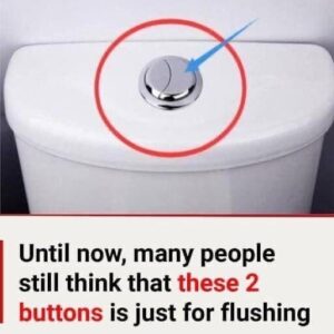 Many people still think that these 2 buttons is just for flushing Many people still think that these 2 buttons is just for flushing