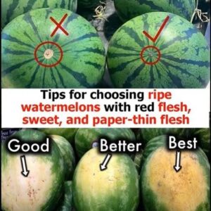 Tips for choosing ripe watermelons with red flesh, sweet, and paper-thin flesh Tips for choosing ripe watermelons with red flesh, sweet, and paper-thin flesh