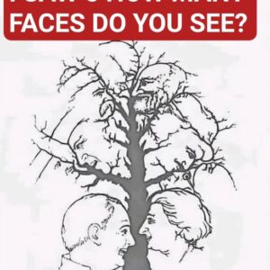 This Optical Illusion Is Hiding Faces