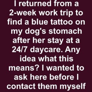 Exploring Pet Tattoos: Popular Trends and Motivations Exploring Pet Tattoos: Popular Trends and Motivations