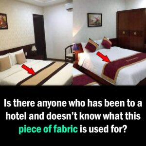 Bed Scarves: What Are They and Why Do You Need One? Bed Scarves: What Are They and Why Do You Need One?