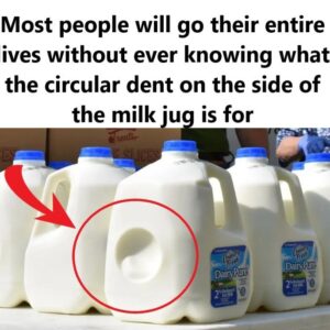 The Hidden Genius of Milk Jug Design!