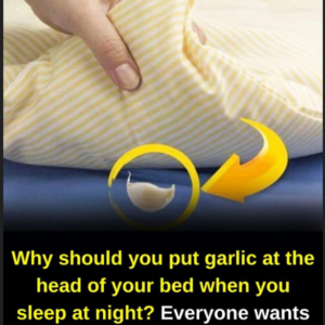 Why should you sleep with a garlic under your pillow every night; it is not prejudice Why should you sleep with a garlic under your pillow every night; it is not prejudice