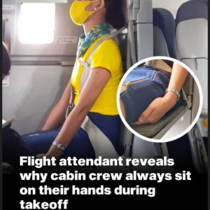 Off The RecordHere’s Why Cabin Crew Sits On Their Hands During Take Off