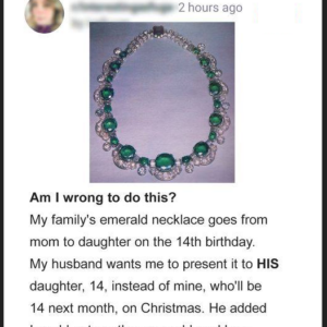 Greedy Dad Wants His Daughter to Inherit His Wife’s Family