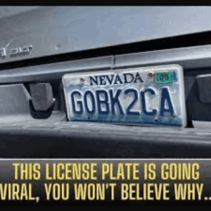 This License Plate Is Going Viral for Surprising Reason!