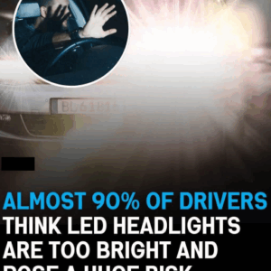 Blinded by the Light? 90% of Drivers Say LED Headlights Are Just Too Much
