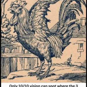 Do Your Eyes Have 10/10 Vision? Find the 3 Hidden Faces Today!