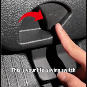 Secret Switch in Your Car That Could Save Your Life One Day
