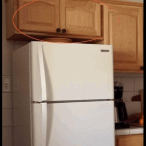 Here’s what the cupboards above your fridge are…