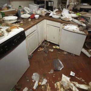 Cleaner Stepped Into a Stranger’s Home