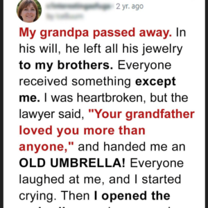 Greedy Brothers Mock Younger Sister Because She Only Inherited an Old Umbrella