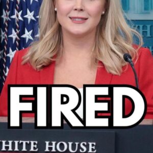 FEMA Boss Fired After Remarks To Congress FEMA Boss Fired After Remarks To Congress