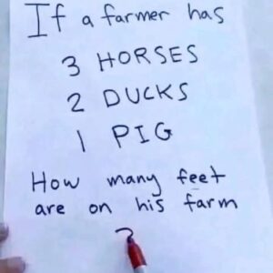 Brain Teaser: How Many Feet Are On The Farm? Brain Teaser: How Many Feet Are On The Farm?