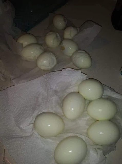 Chef’s Clever – for Perfectly Peeled Eggs